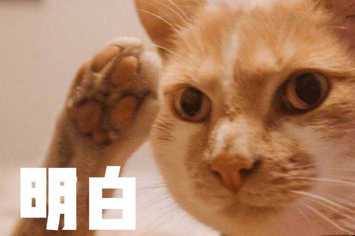 懒人神器用了没效果,实用又不贵的懒人神器