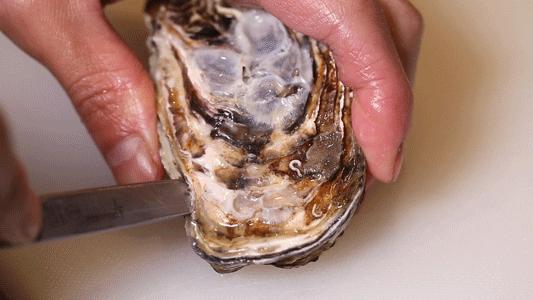 味蕾杀手,深圳顶级日料菜品