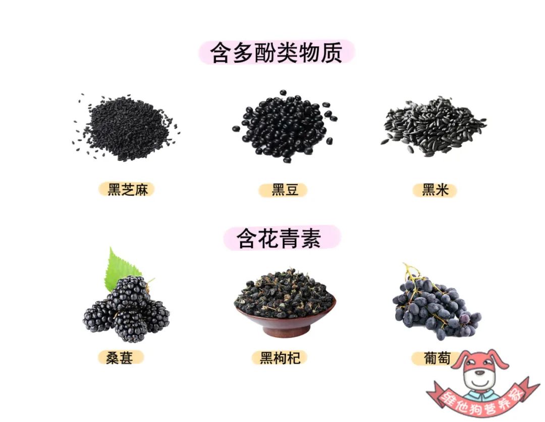 年纪轻轻白发很多可以染发吗,20岁白发吃黑芝麻还有用吗