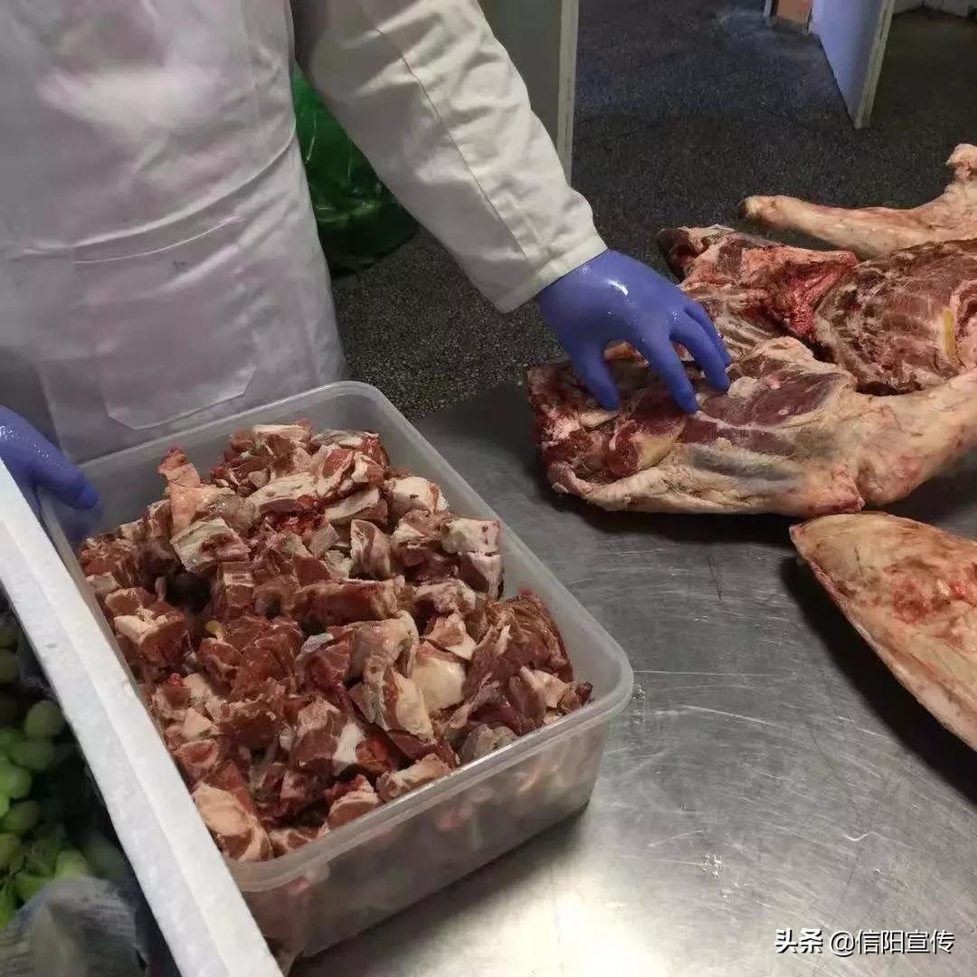 寻访抗疫先进工作者感悟,用简练的语言向抗疫工作者致敬