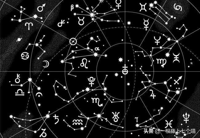 狗狗欺负汪星人的表现,狗狗总是凶主人对主人叫