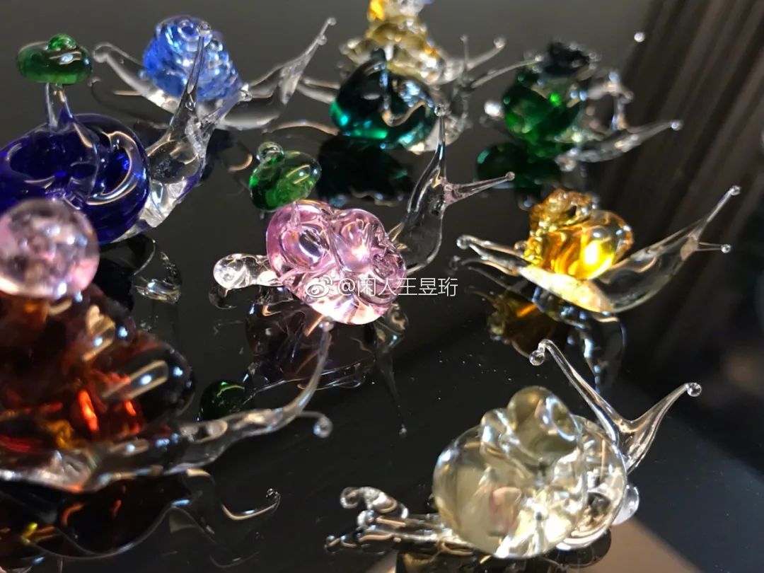 最强大脑王昱珩清华毕业后不上班,王昱珩上学经历