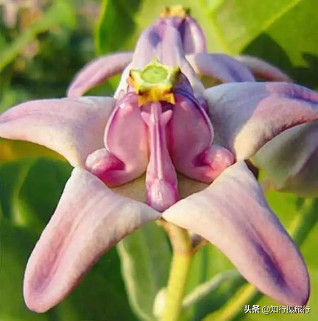 海南环岛自驾旅游攻略最新,海南东部环岛自驾游攻略详细行程