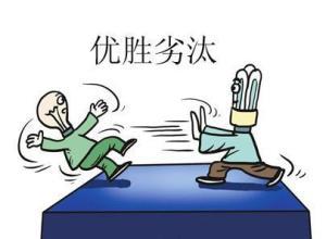 圣经中做事的法则,圣经七个法则