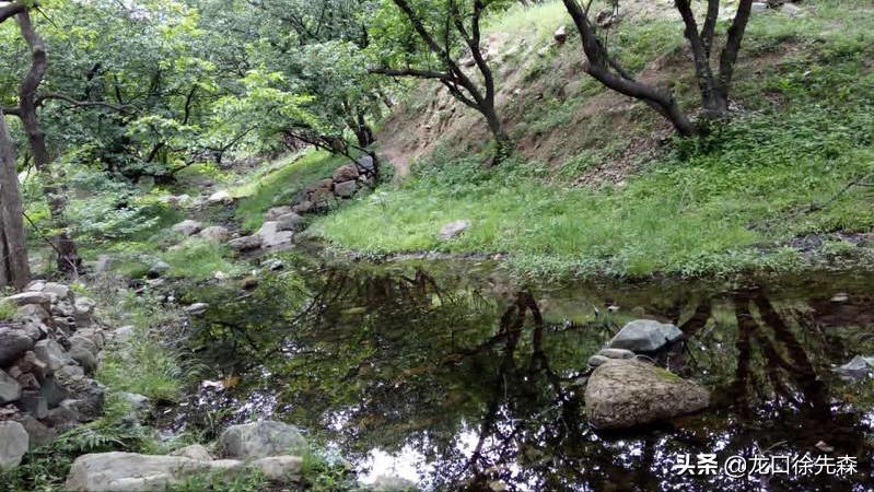 山东青岛哪里有花海的景点,青岛风景比较优美的山