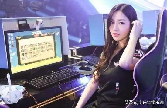 游戏陪玩真的能赚到钱嘛,游戏陪玩行业内幕