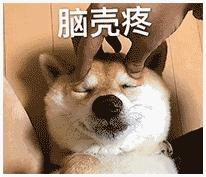 狗子绝育后的绝望,狗子绝育是不是就安稳了