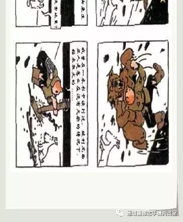 丁丁和丁丁历险记论文,丁丁历险记丁丁的服装