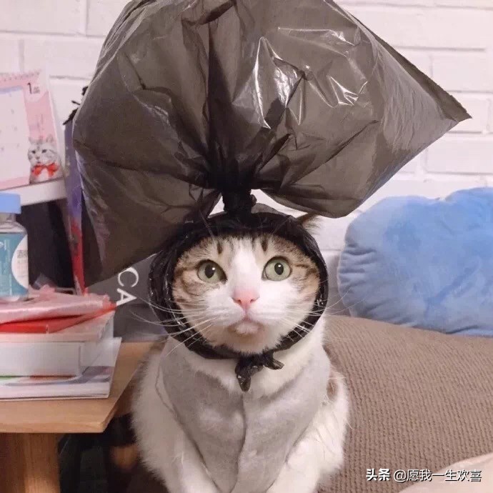 情侣头像是情侣最基本的吗,理想的情侣头像一对