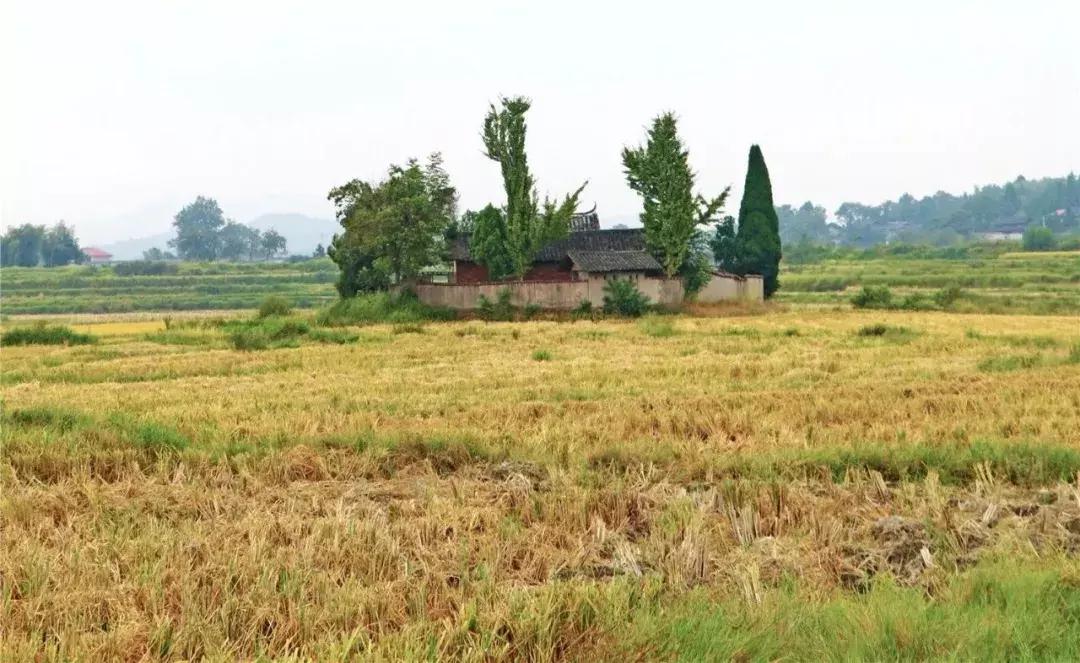 下一站联合电子,下一站同行