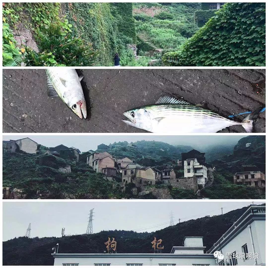 枸杞岛——六壮士崩溃之旅