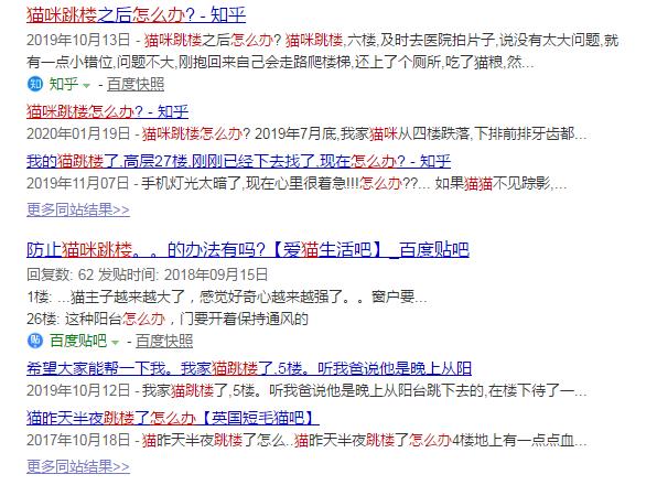 我的猫掉下楼死了怎么办,我的猫跳楼死了