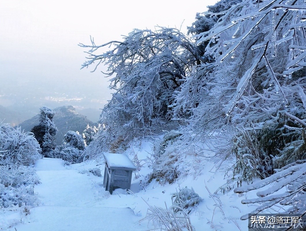 南轩传奇（长篇小说连载之十九）
