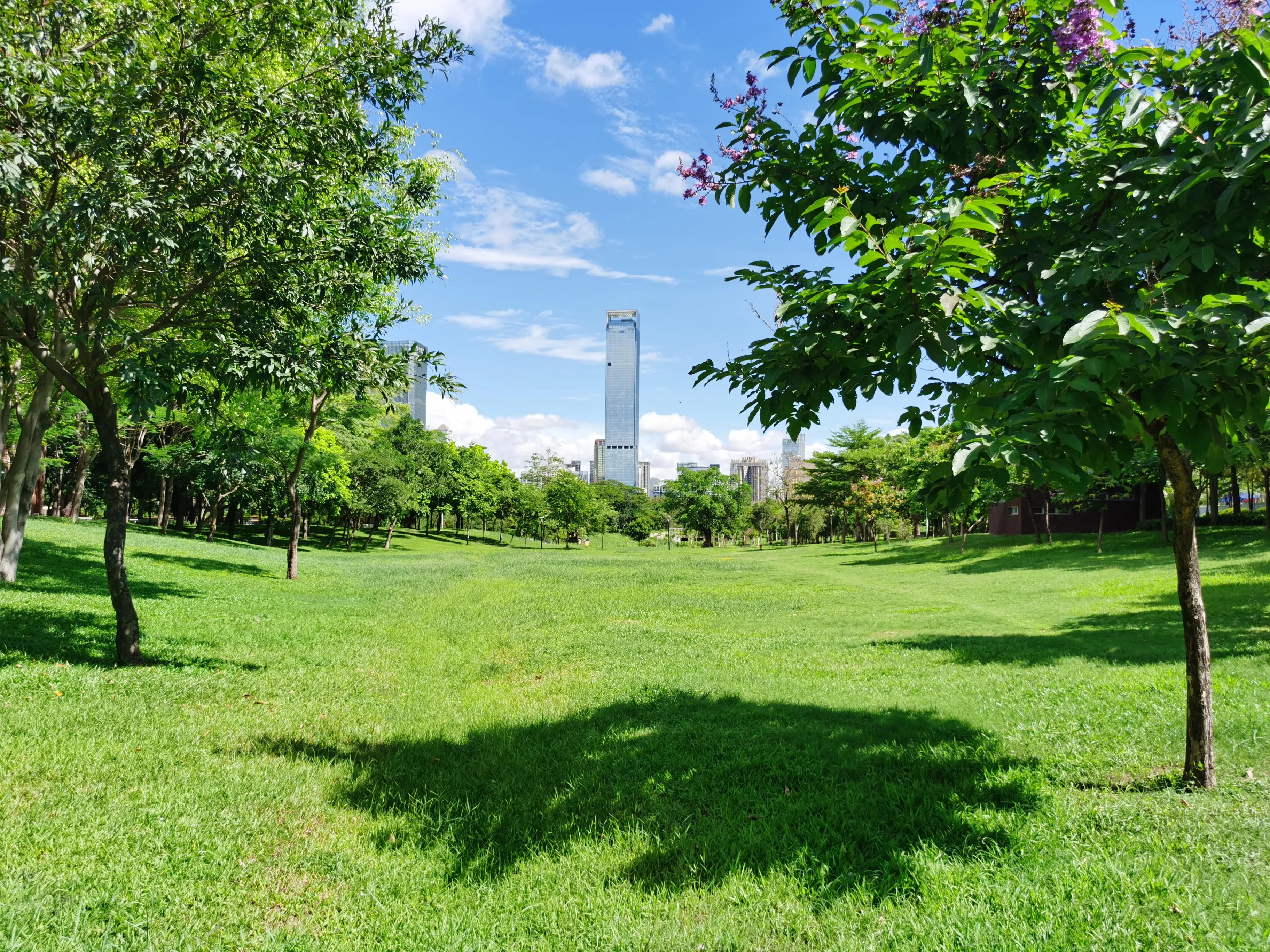 笔架山公园福田河,深圳笔架山福田河图片