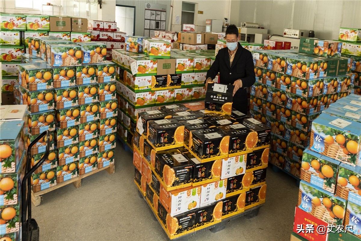 农村淘宝为什么停止运营,农村淘宝的新模式