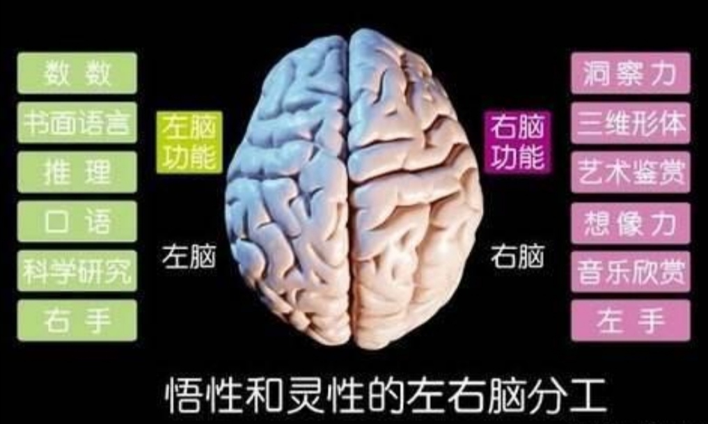 aboab哪个血型好点,ab血型全面分析