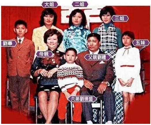 刘德华为什么那么受人推崇,刘德华业内评价