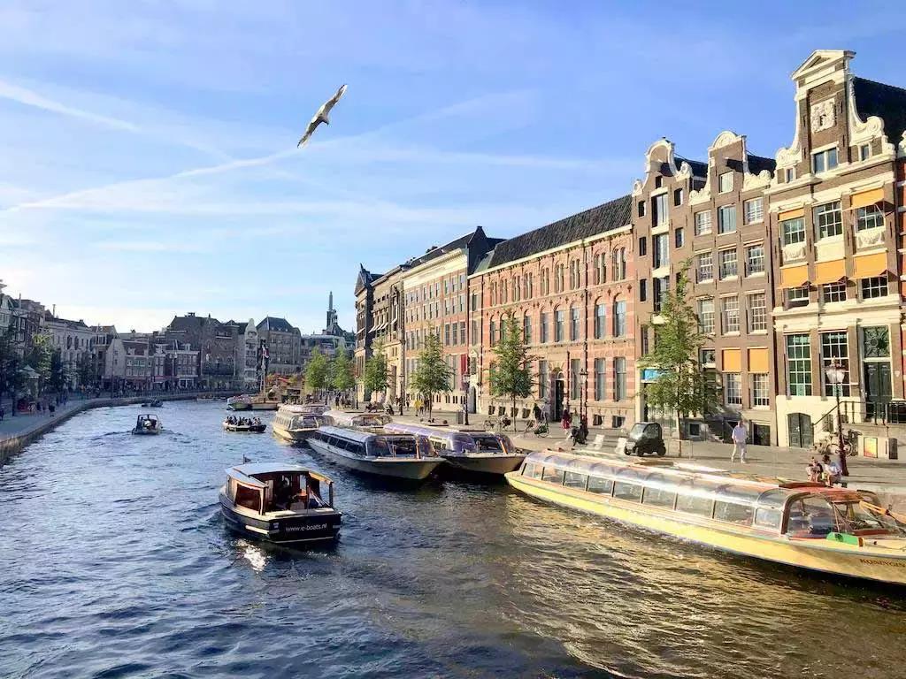 缁村鑺礉灏旇挋澶氭姢鑲ゅ搧,缁村鑺礉灏旇挋澶氶珮绉戞妧