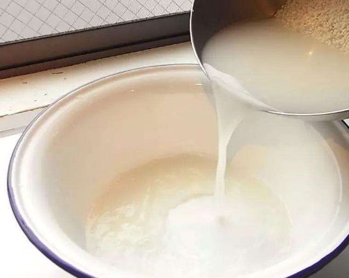 白色西兰花怎么清洗最好吃,西兰花怎么洗都有菜虫