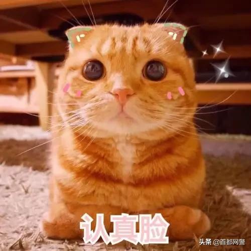 居住登记卡和居住证区别,居住证和居住证登记卡有啥区别