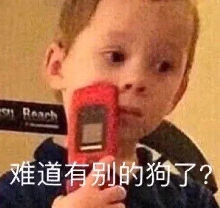 搞笑gif开心一刻满满的正能量,搞笑gif开心每一天