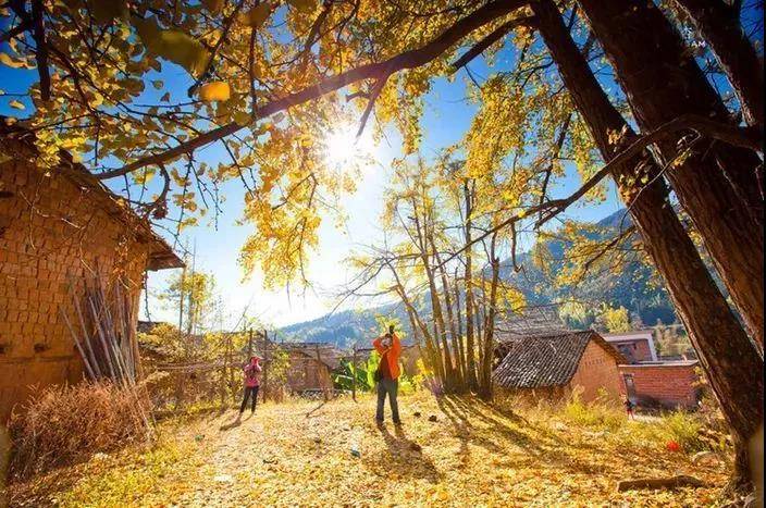 韶关碧桂园温泉酒店,韶关市碧桂园江山樾民宿