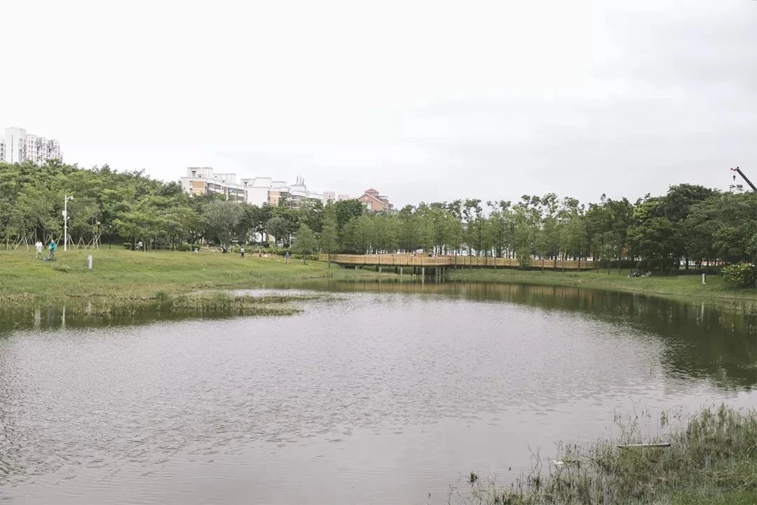 深圳这27个热门游玩地，坐2号线全都能到