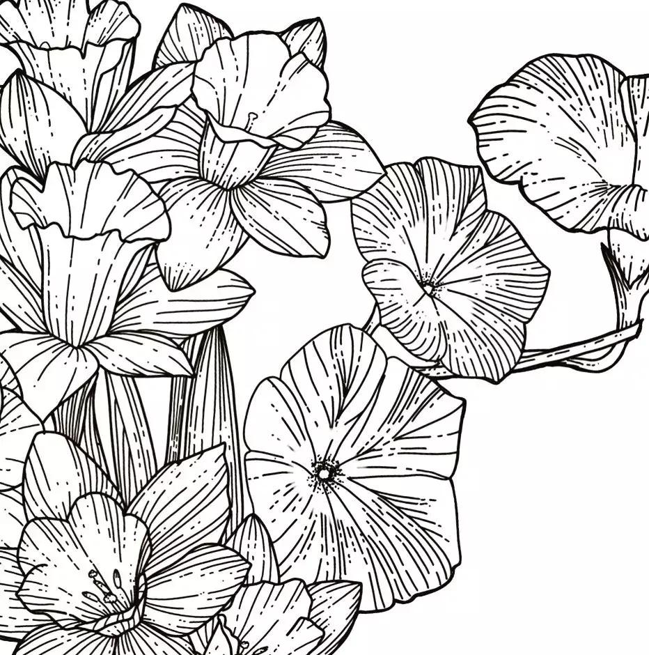 这一波手绘太给力了,绝对让你练完不厉害都难