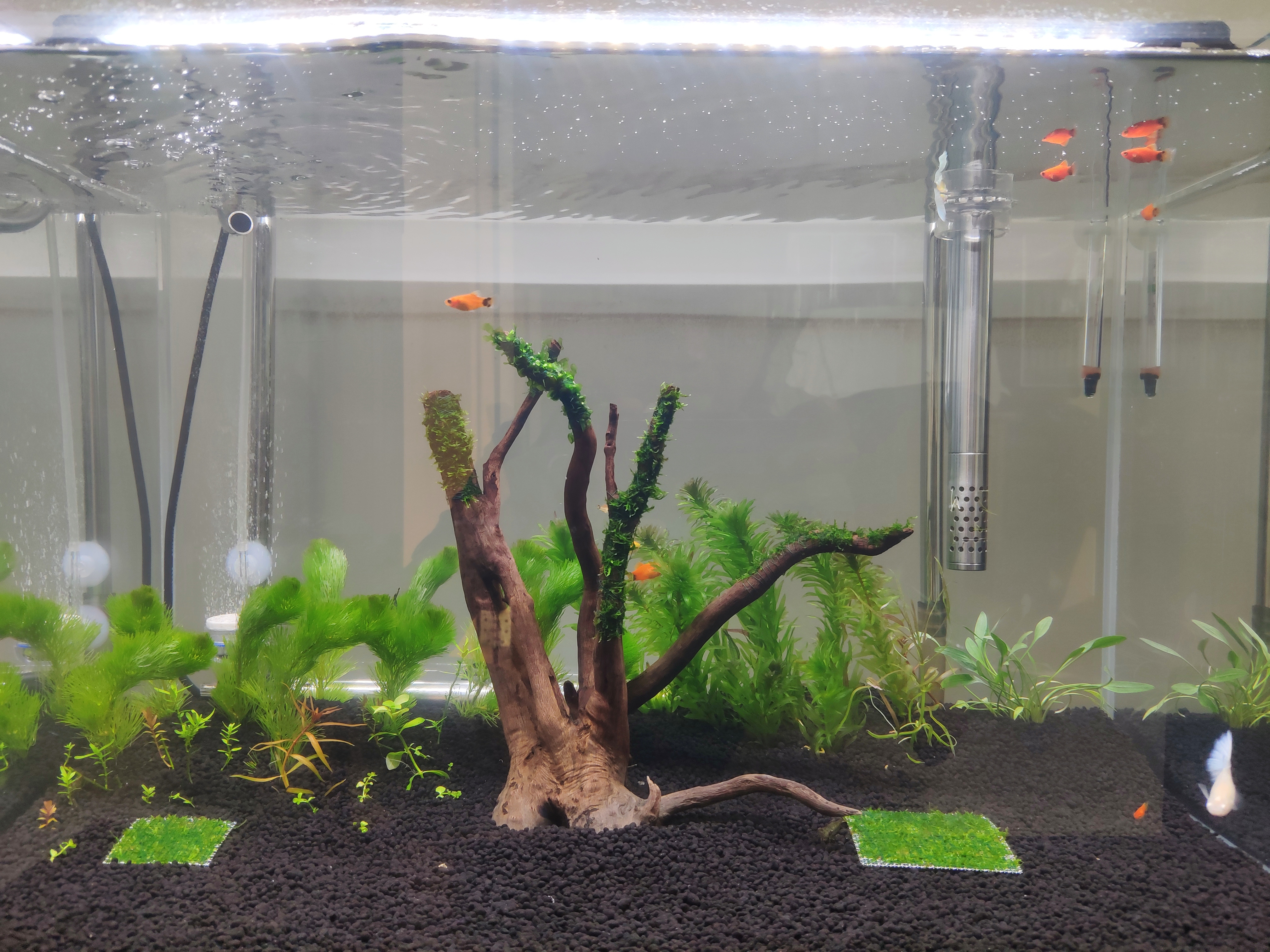 预算只有200元可以买一套路亚吗,预算只有200不在网上买能买什么