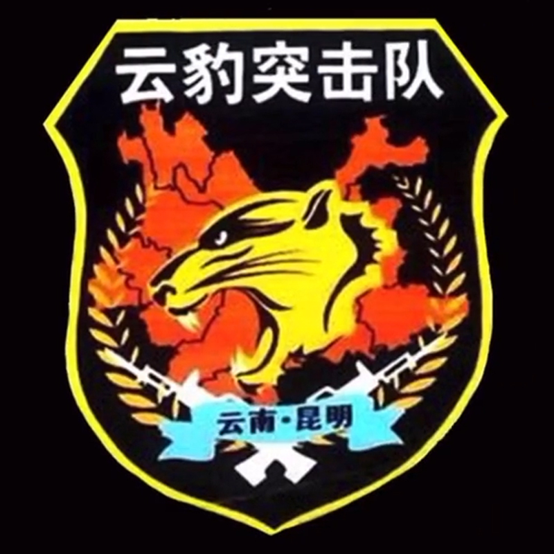 全国各个城市特警队臂章,公安特警帅图