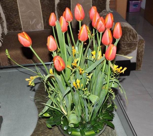 家里切记不要养这两种花,家里这5种花好看好养