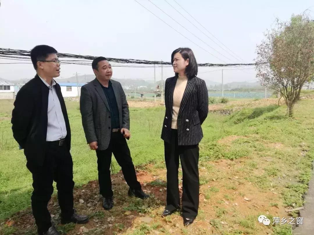 湘东大市场一楼购物商场,萍乡湘东农贸市场