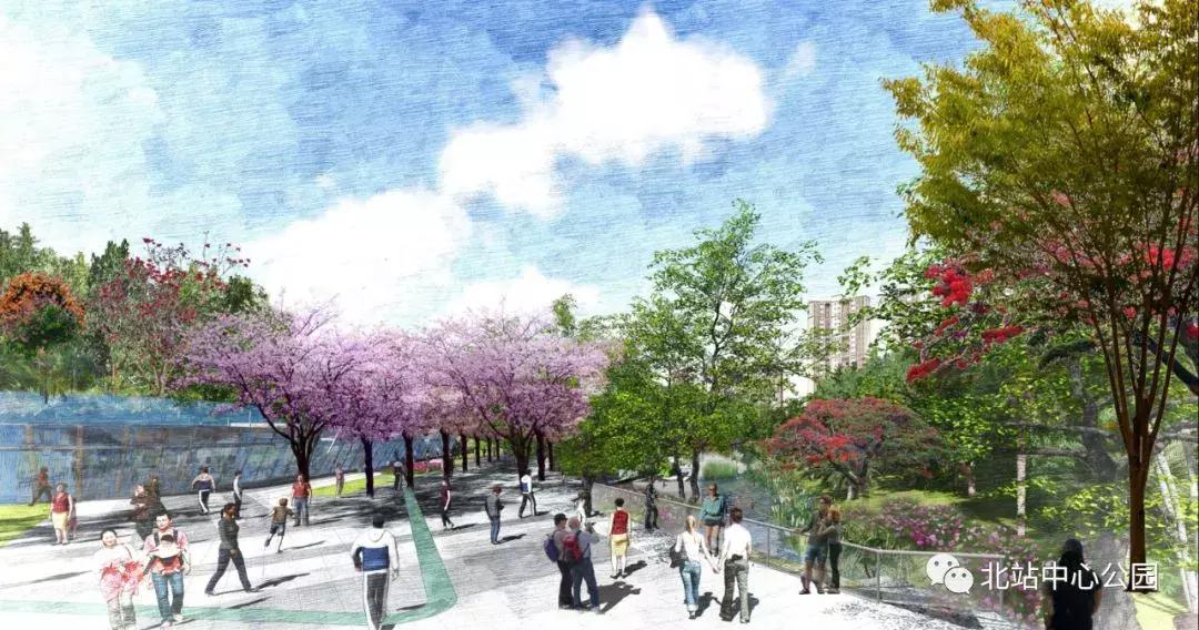 实拍深圳的一座公园,深圳有足球场的公园