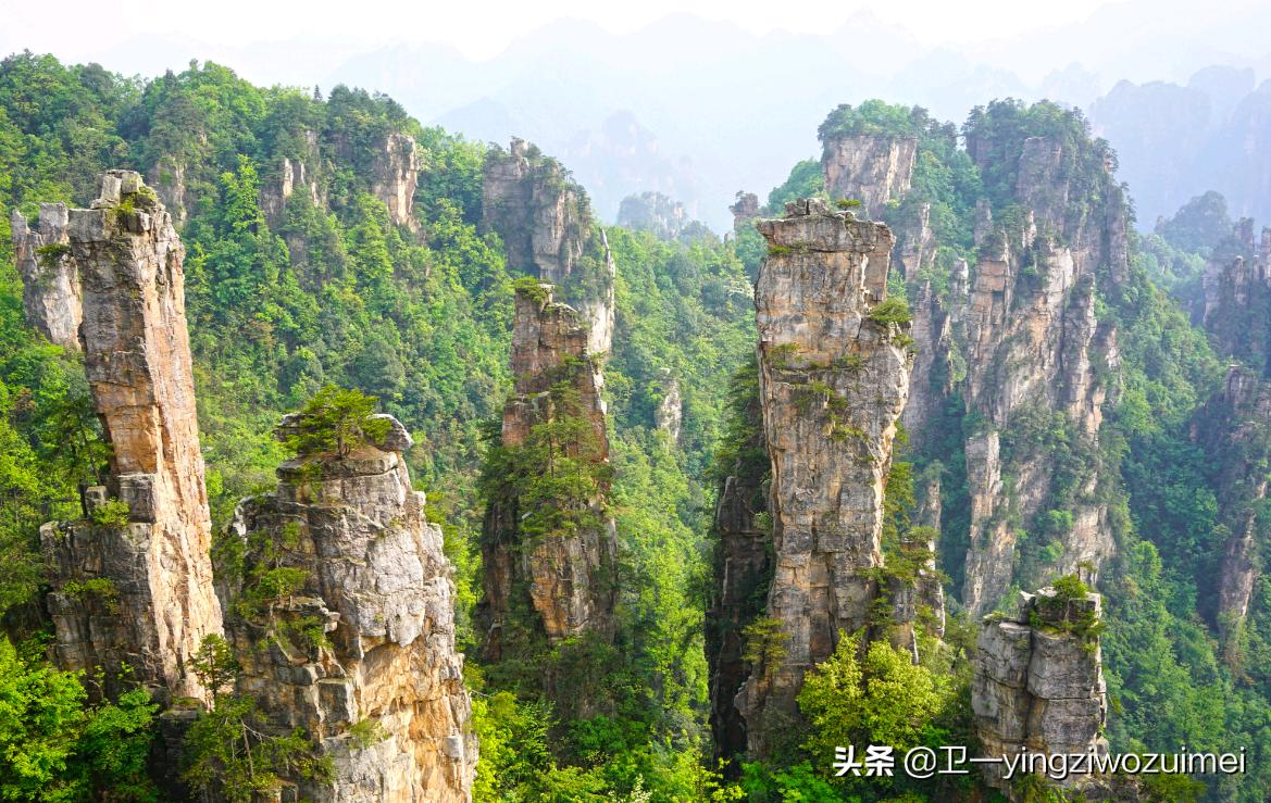 张家界自驾游住宿攻略,张家界森林公园乌龙寨住宿攻略