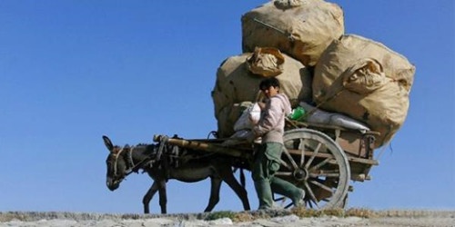 多肉哥农庄日记第21篇：培训结束，收获满满。