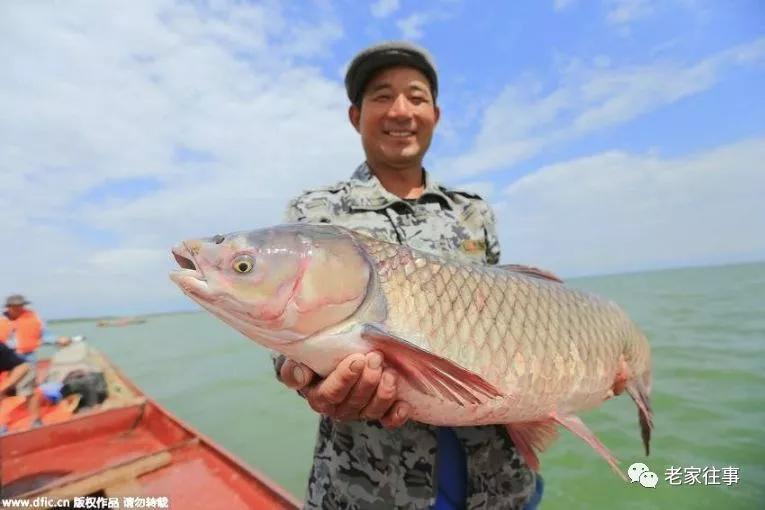 彦淖沟往事------炸鱼