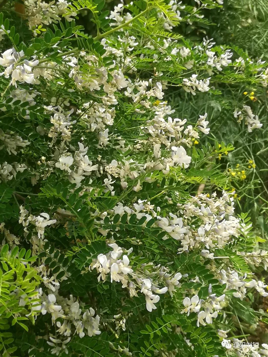 瓒ｈ鏋楀啿,瓒ｈ娑炴簮