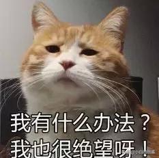 她脸越来越僵，又演第三者的角色了