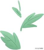 扎堆出游的旅游现象,大量游客涌入景区造成的不利影响