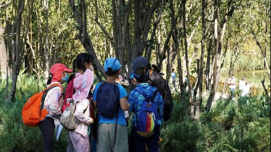 约会大自然,约会武汉