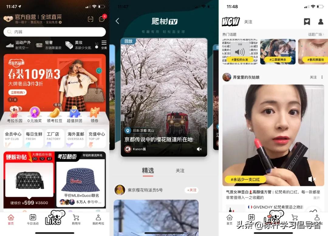 阿里20亿收购考拉,考拉被阿里收购