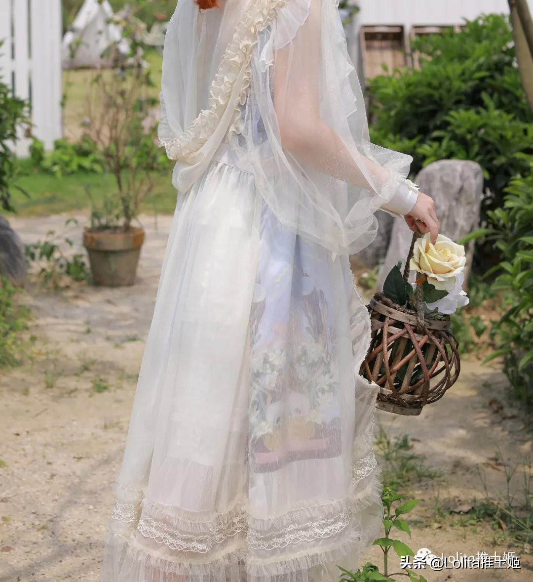 lolita每月推荐,lolita每日情报2018