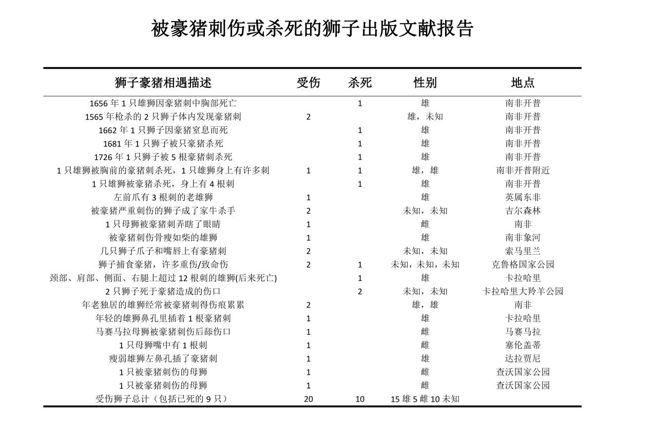 狮子VS豪猪，从非洲殖民时代说起，食人狮与豪猪也脱不开关系