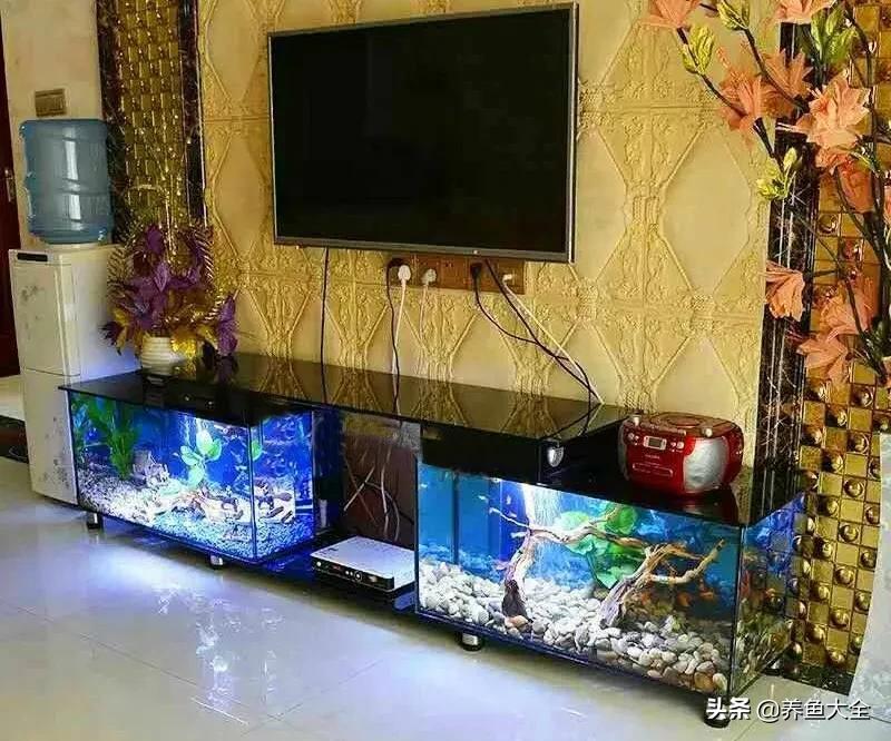 电视柜养鱼,电视柜旁边养鱼好不好