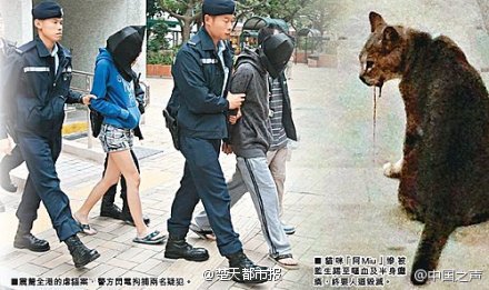 中国动物福利法律制度,概括动物福利立法有哪些现实意义