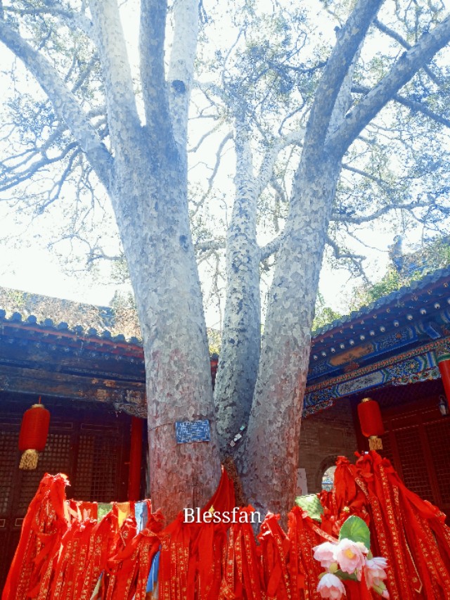 太原白云寺文殊菩萨,太原白云寺文殊传灯法会