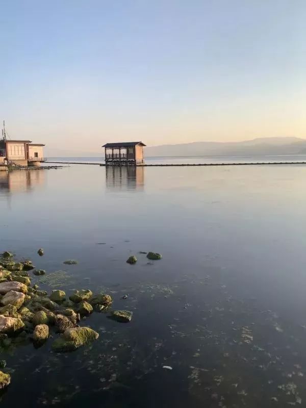 iphone拍照软件哪款最好,iphone怎么关闭拍照声音