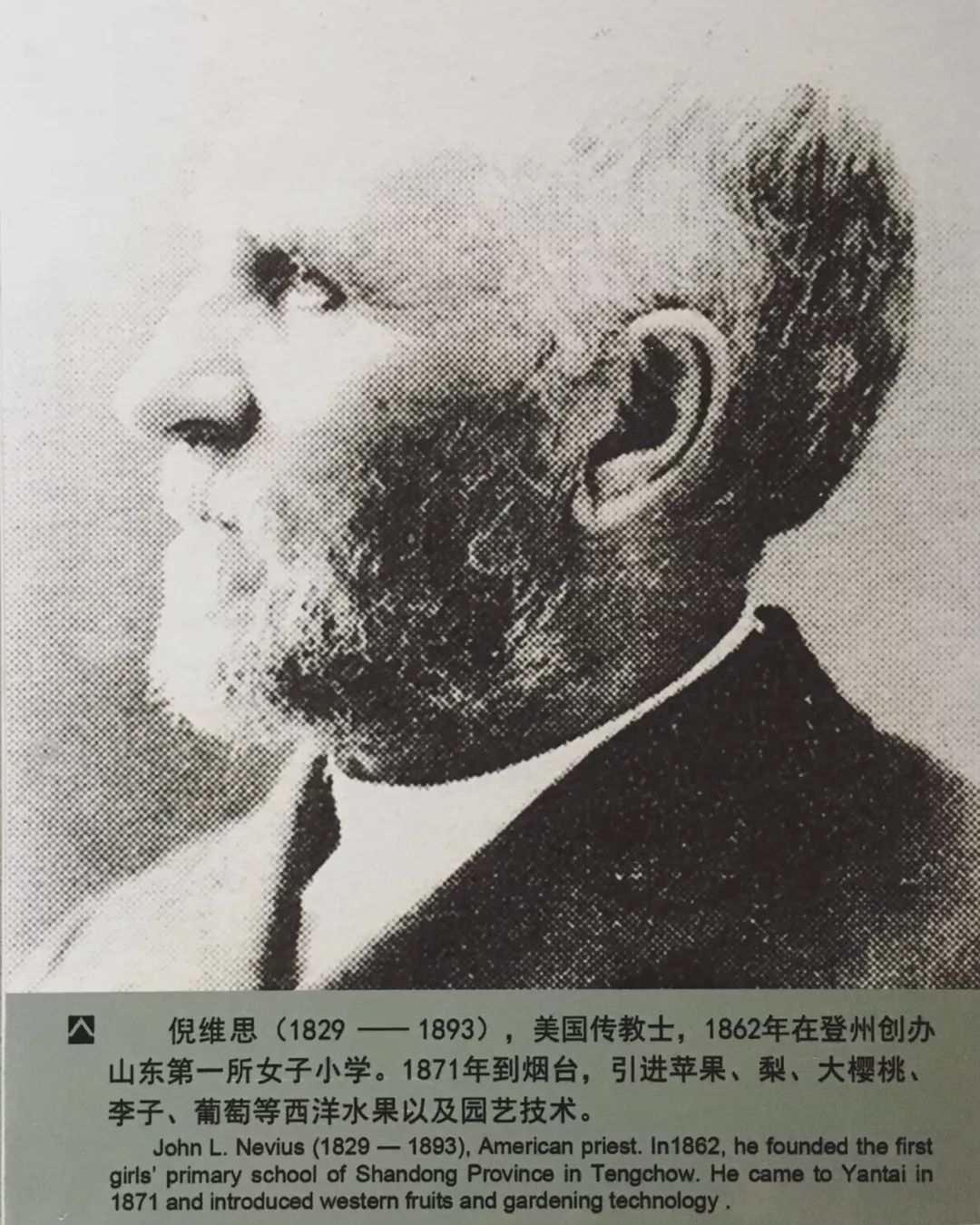 烟台海边住宅潮不潮,烟台海边是日出还是日落