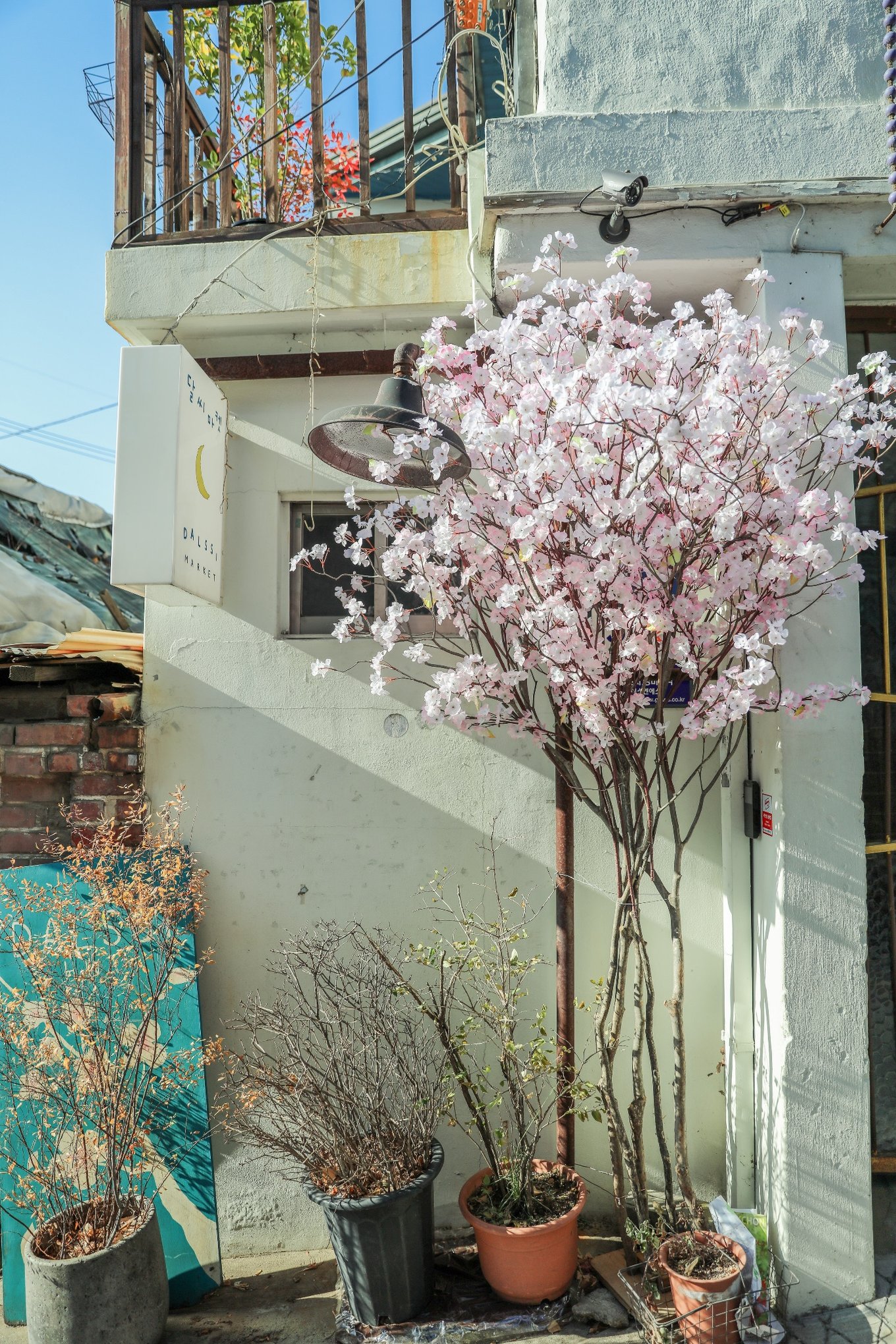 韩国冬天该有的样子,韩国第一次过冬天