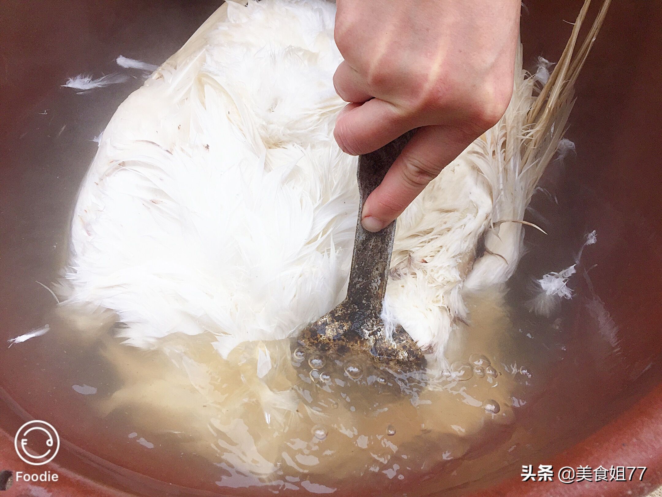 什么炖老鸭汤好喝,冬日滋补老鸭汤